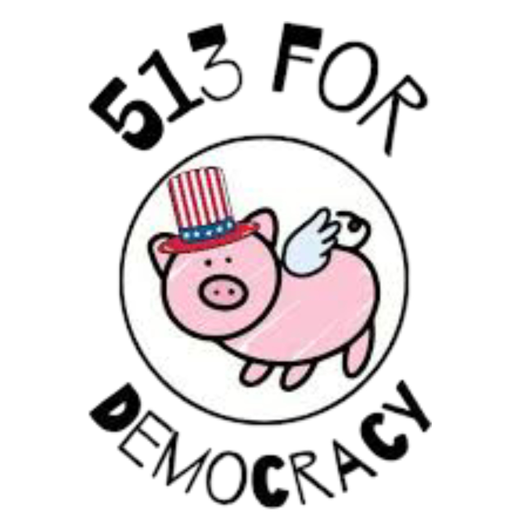 513 for Democracy